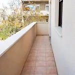Bobi * Zadar